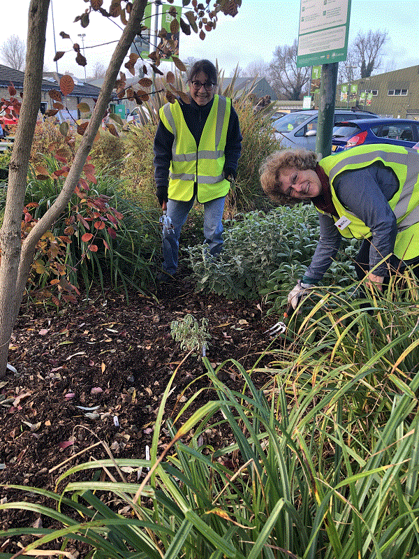 More Planting